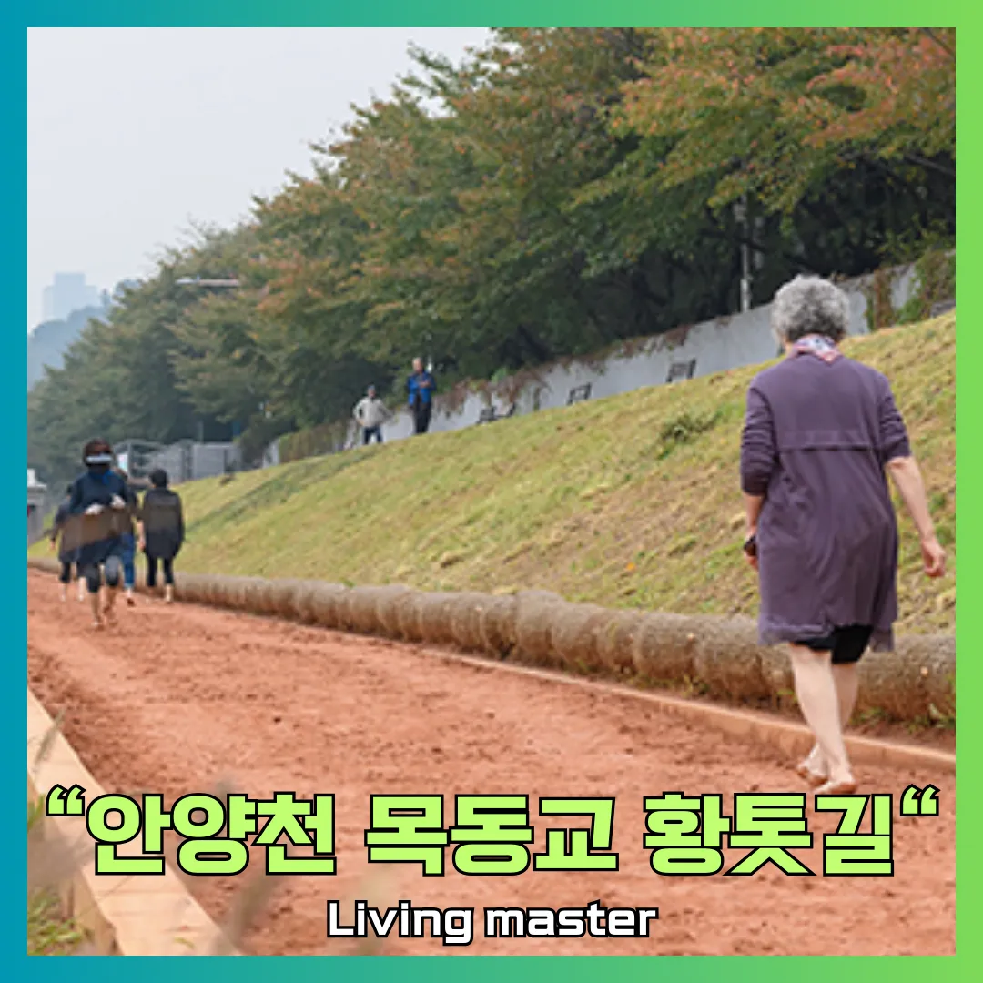 안양천 목동교 황톳길을 소개합니다.