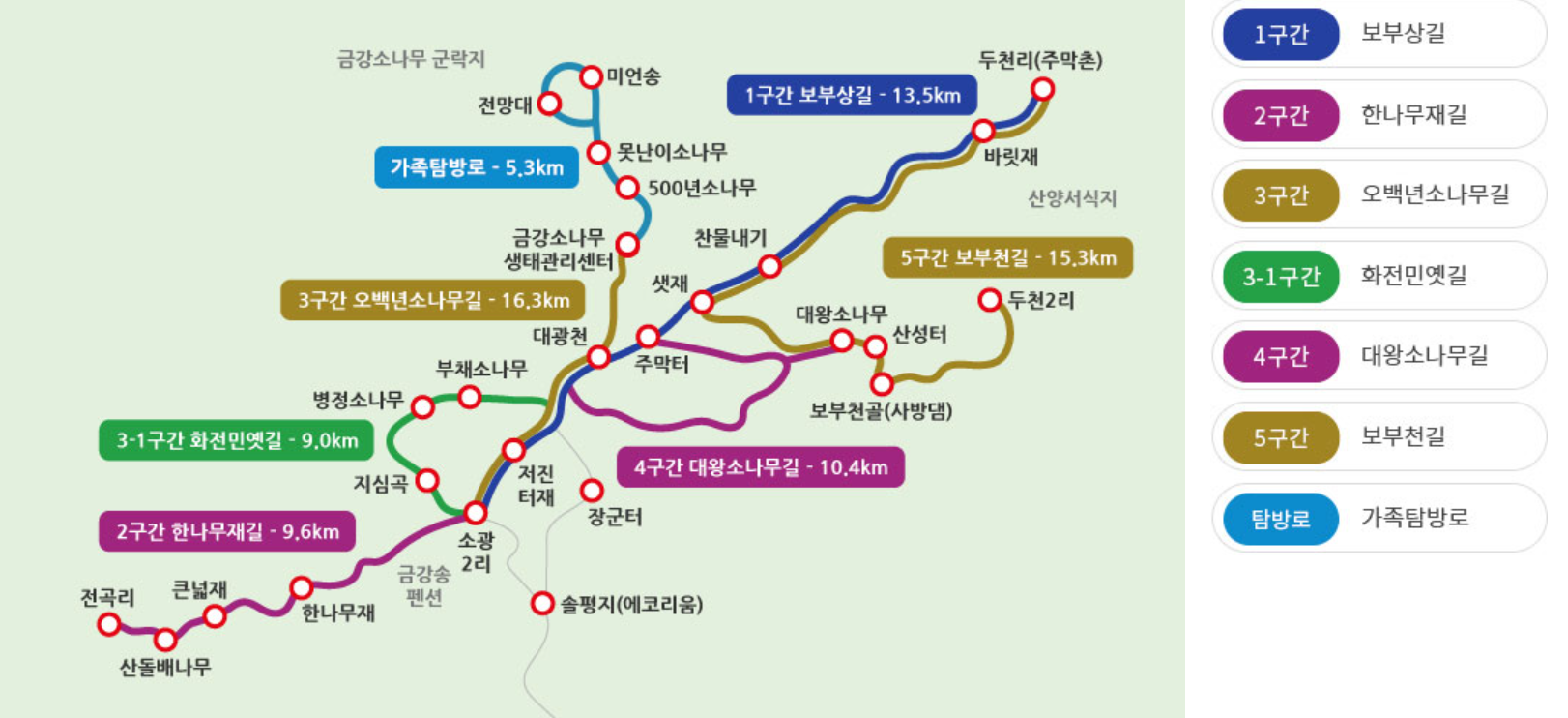 울진 금강소나무숲길