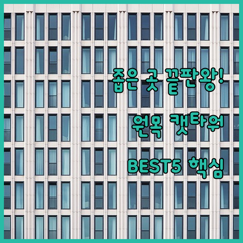 좁은 공간 미니 캣타워 추천 베스트 ..