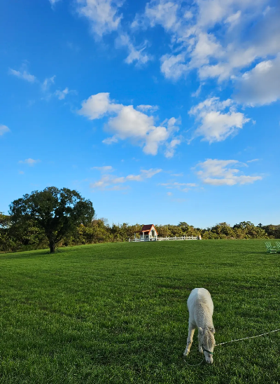 에코랜드 추천코스