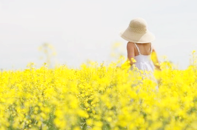 지브리 사진 변환