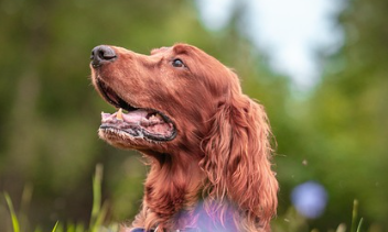 이재명 대선공약 쉽게 정리 15