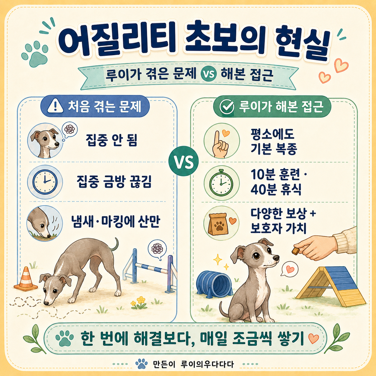 어질리티 초보 문제와 접근 비교 인포그래픽, 산만함&middot;집중력과 루이가 해본 방법 요약