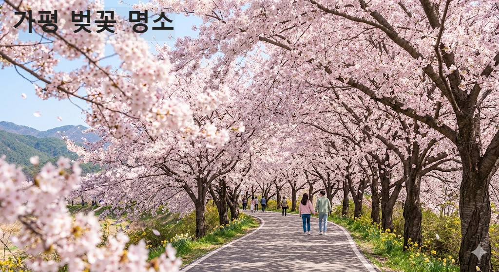가평 벚꽃 명소