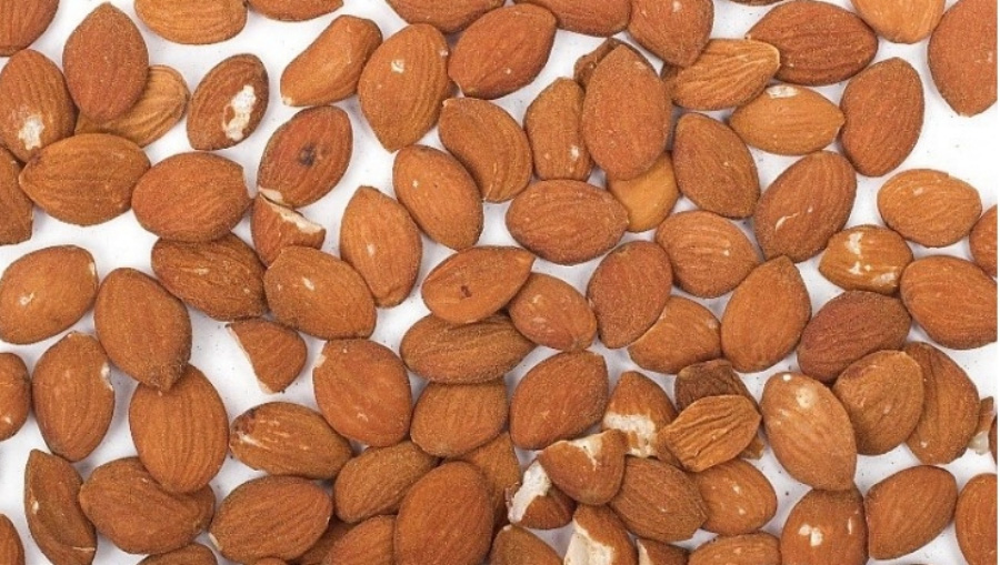 야생에서 채취를 한 도인을 깨끗하게 세척하고 건조시킨 것을 하얀 바닥 위에 수북하게 놓아두고 찍은 사진