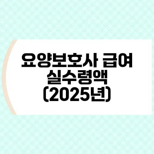 요양보호사 급여 실수령액 (2025년)