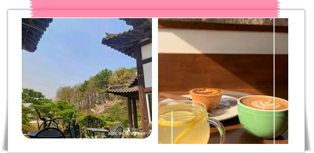 매일아침 브라보마이라이프 한옥카페 후기