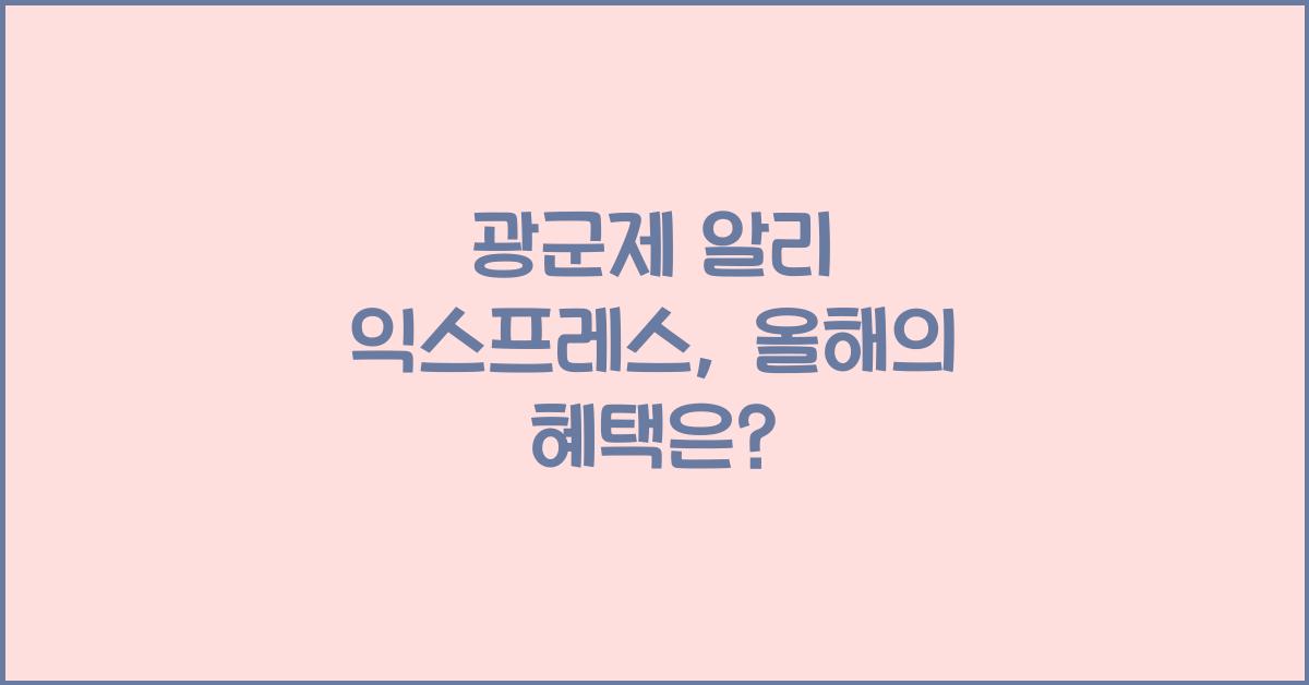 광군제 알리 익스프레스