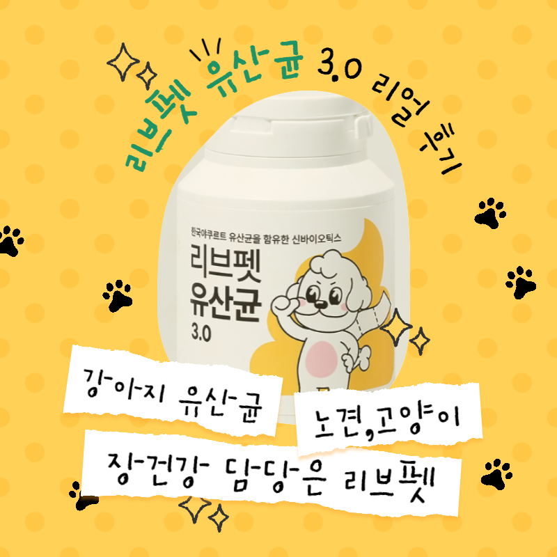 로또 1184회 예상번호 분석 당첨번호 당첨지역