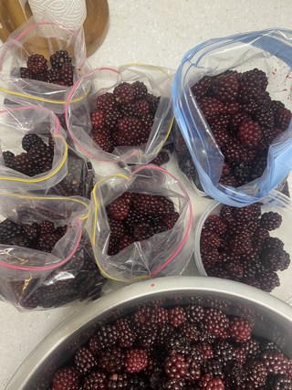 복분자 효능 여자