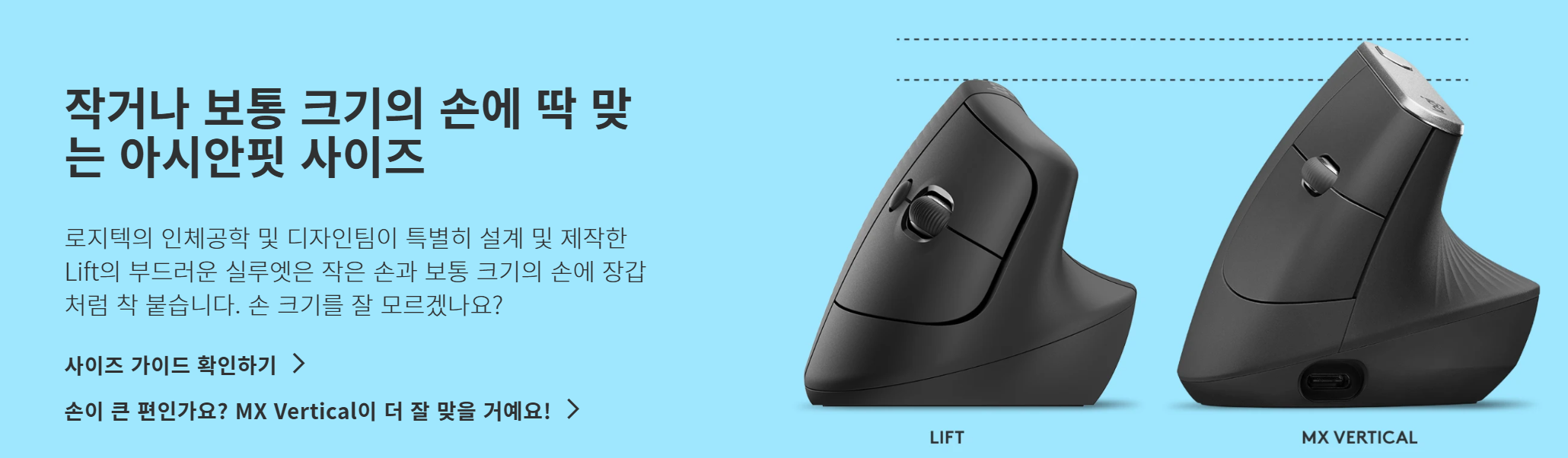 아시안핏 크기