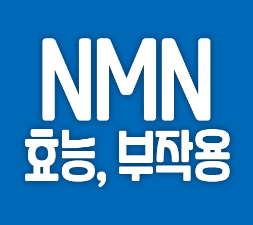 NMN 효능 부작용