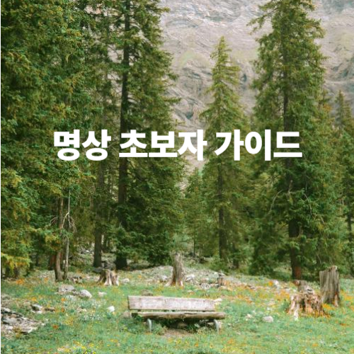 명상 초보자