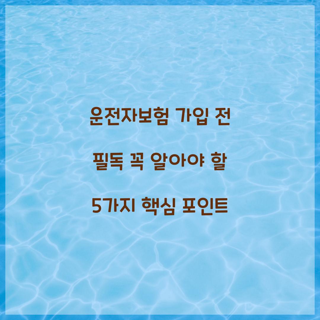 운전자보험 가입 전 필독
