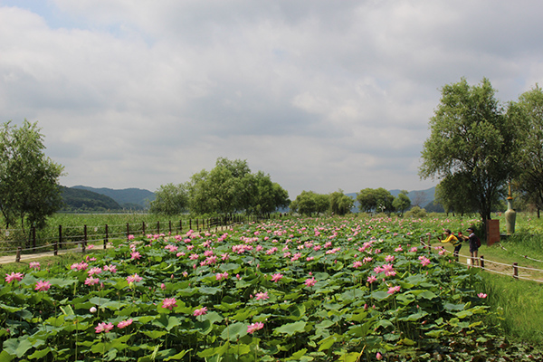 양평 가볼만한곳