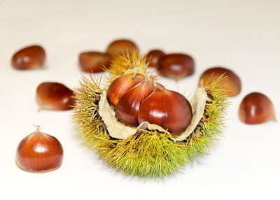 밤 효능 부작용