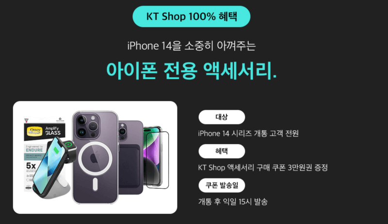 아이폰 전용 액세서리