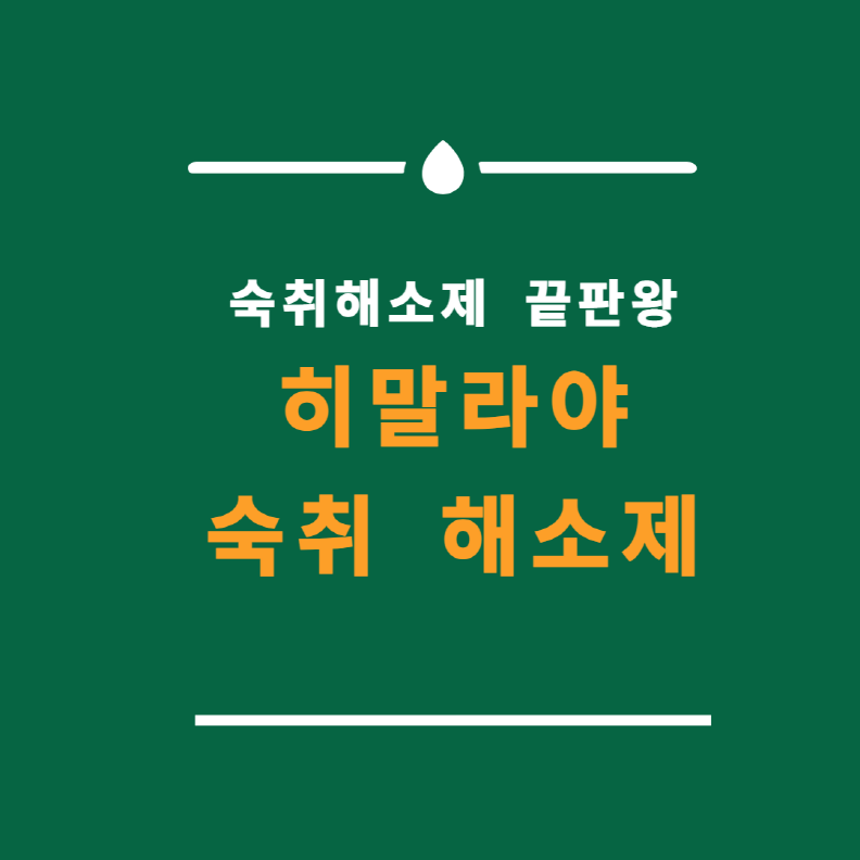 히말라야 숙취 해소제