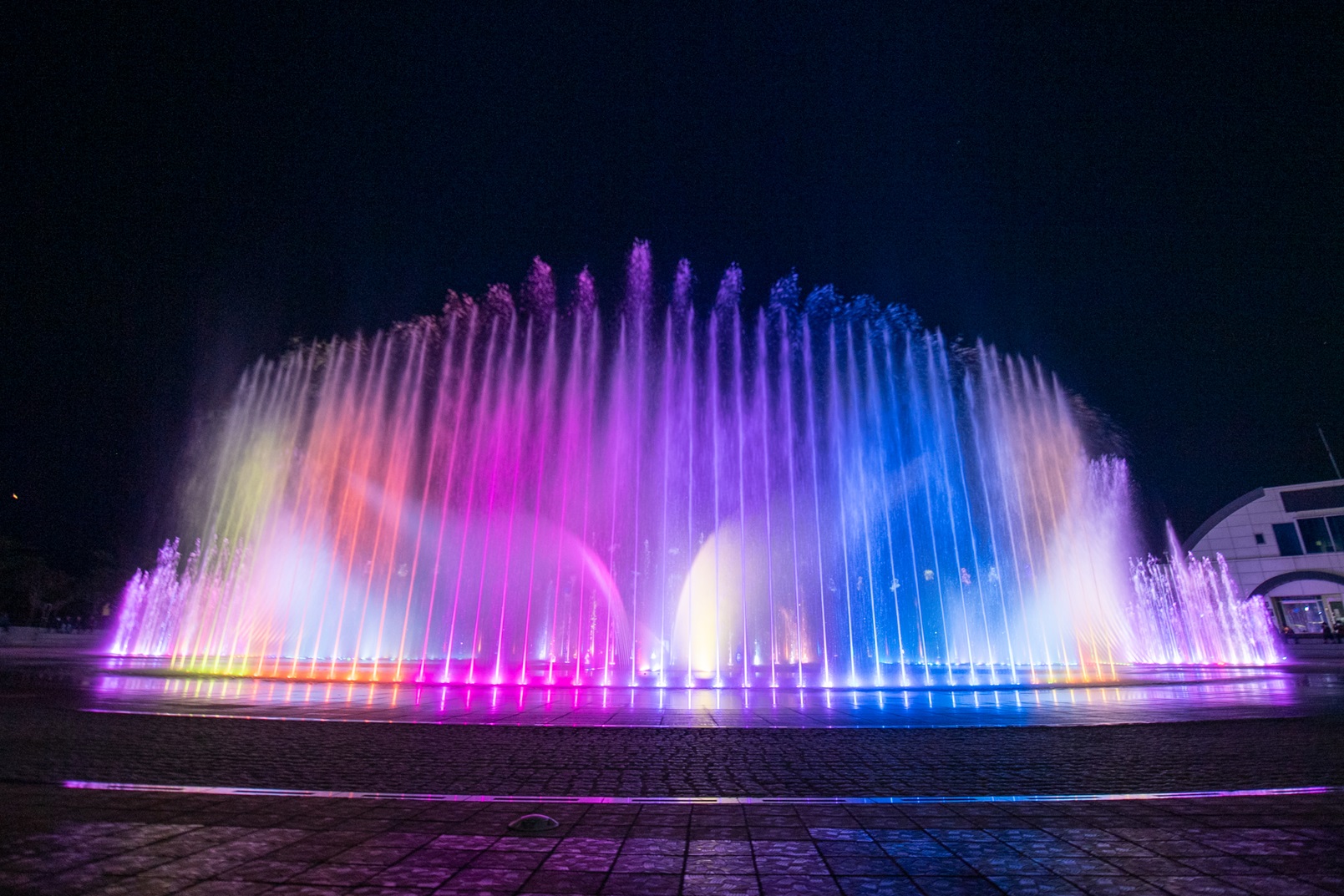 부산의 분수 사진