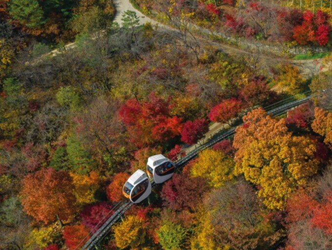 화담숲 예매하기