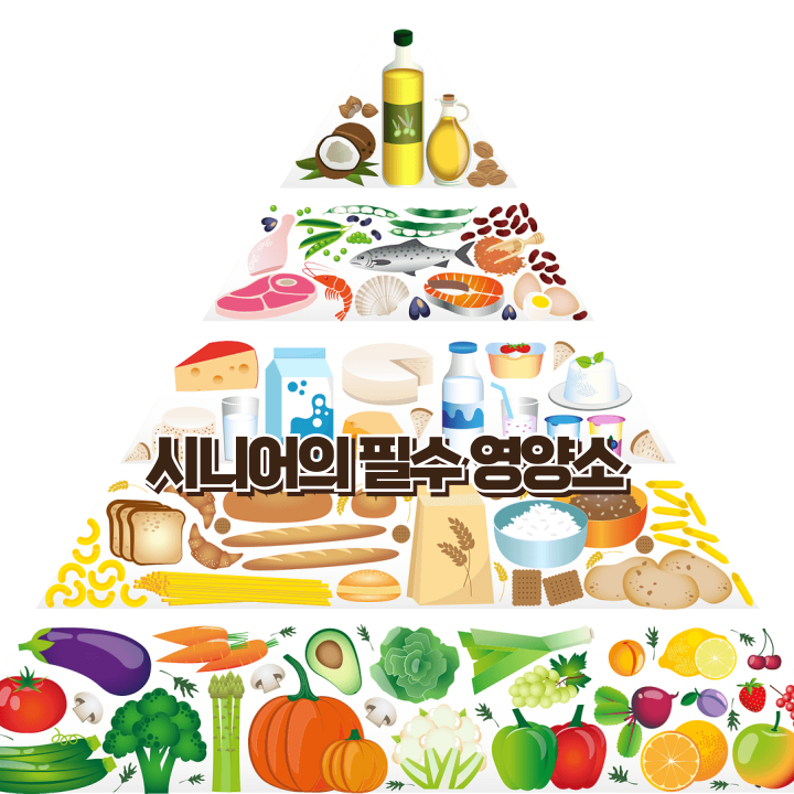 시니어필수영양소