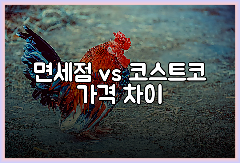 면세점 vs 코스트코 가격 차이