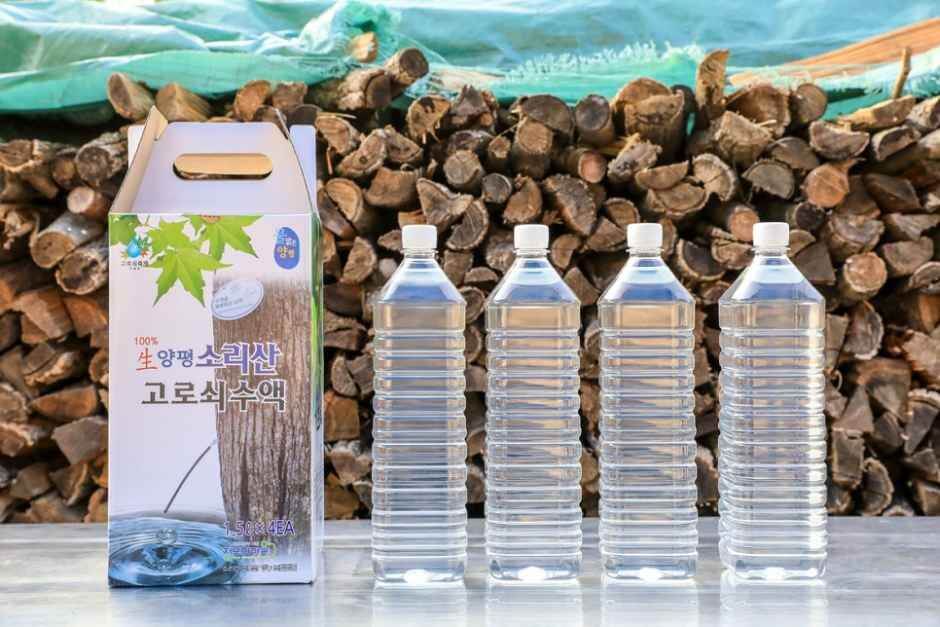 양평 단월 고로쇠축제