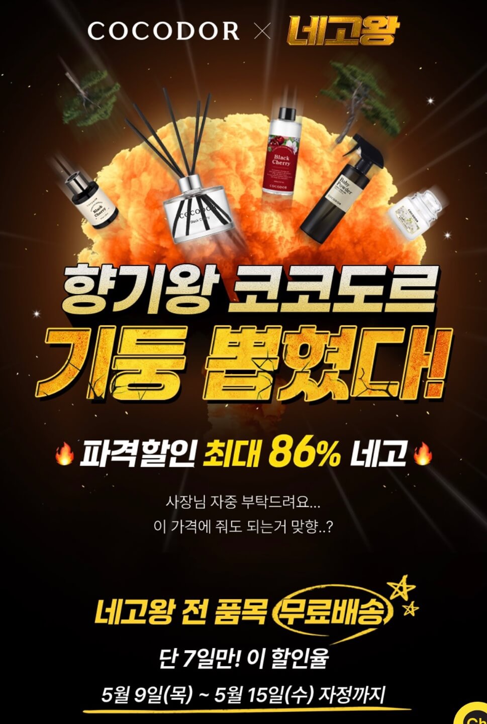 네고왕 코코도르 디퓨저