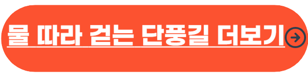 서울 단풍 명소