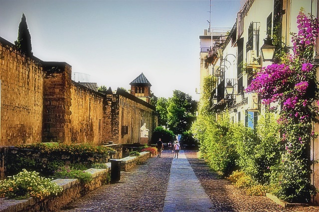 확정일자 받는 법