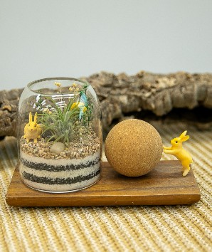 감성 유리공간 '플라워 테라리움'