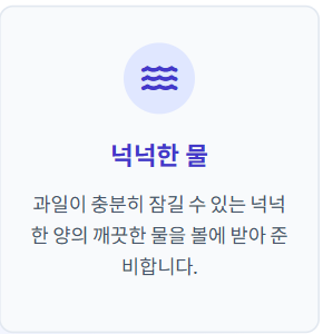블루베리 세척법