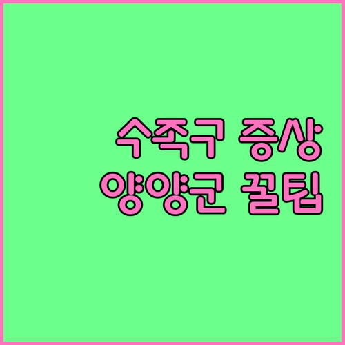 수족구 증상과 양양군 병원 이용 팁..