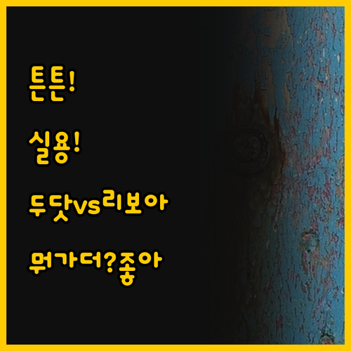 튼튼한 내구성 두닷 콰트로와 실용적인..