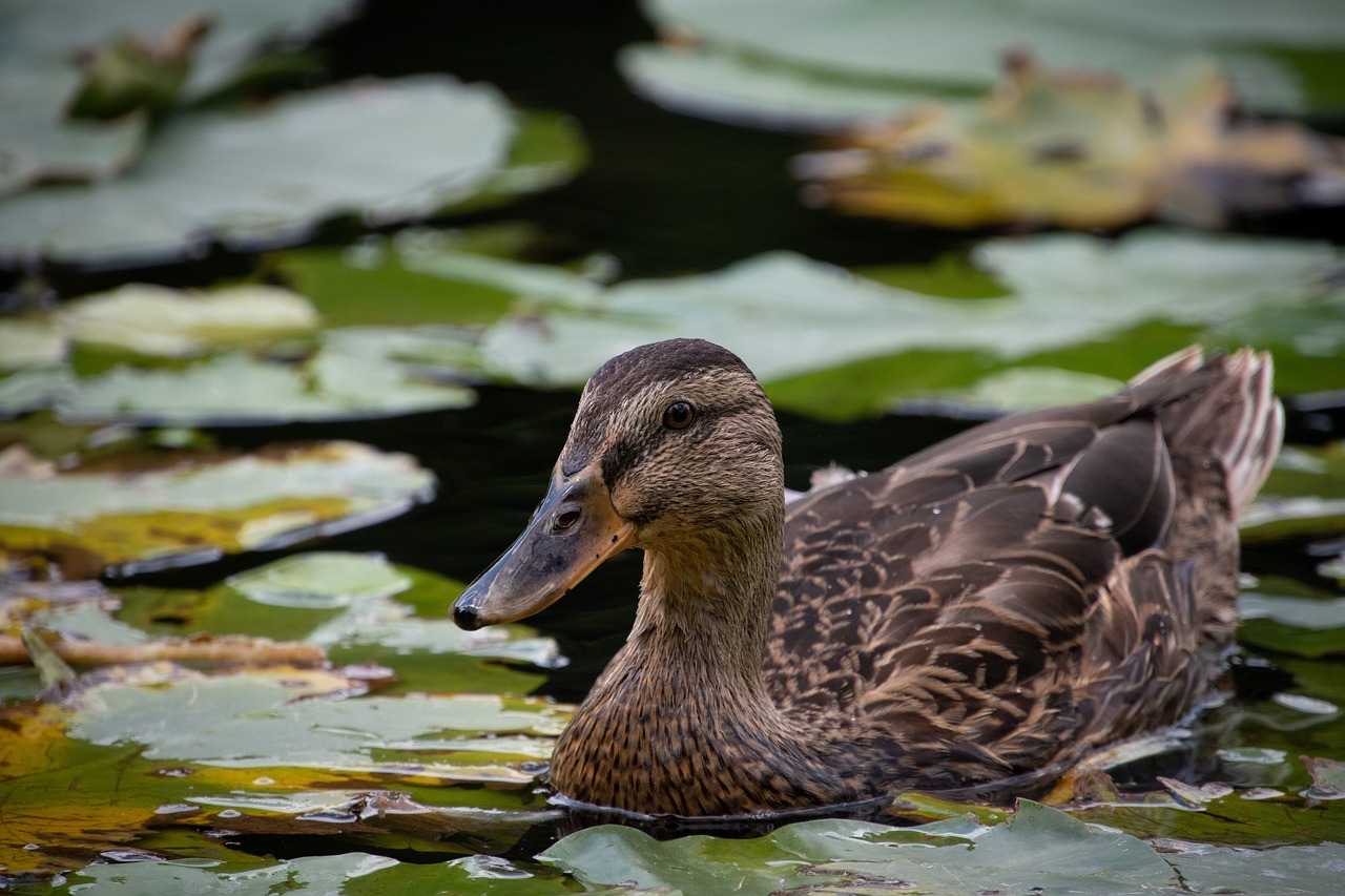 퇴직연금 계산방법