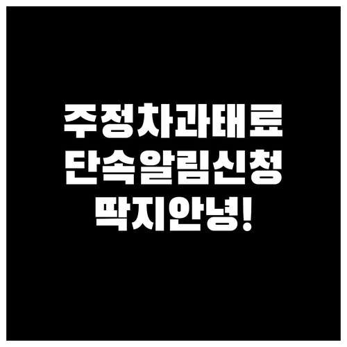 영천시 주정차 단속 알림 서비스 신청..