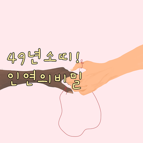 1949년생 소띠 2월 대인관계 운세..