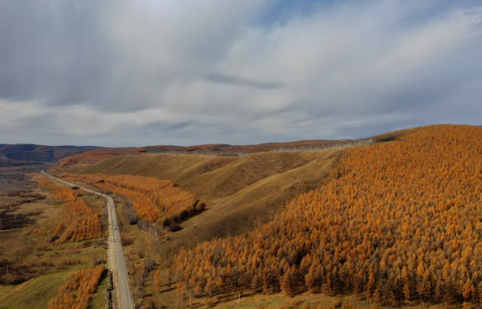 몽골 중부지역 여행 13