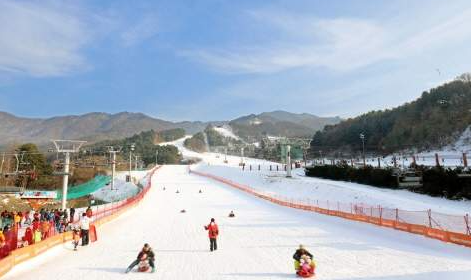 베어스타운 스우타운 눈썰매장