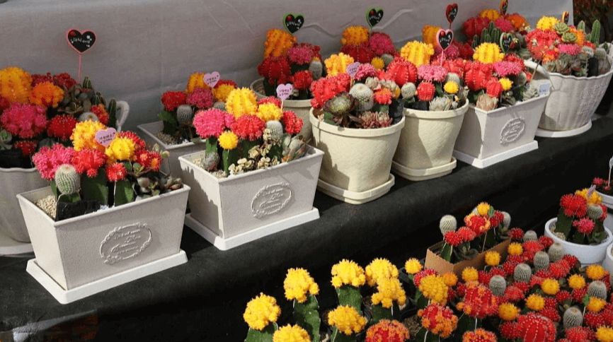 일산 가볼만한곳 베스트10