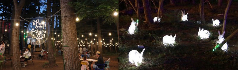 수목원테마파크 수목원길 야시장