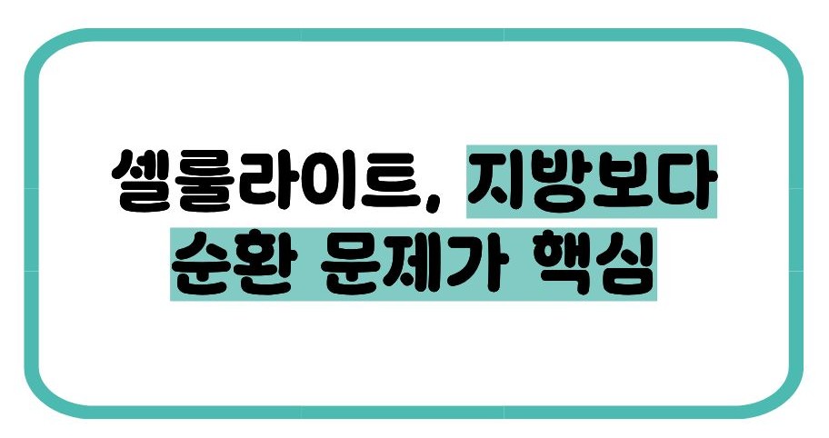 셀룰라이트 없애는 법