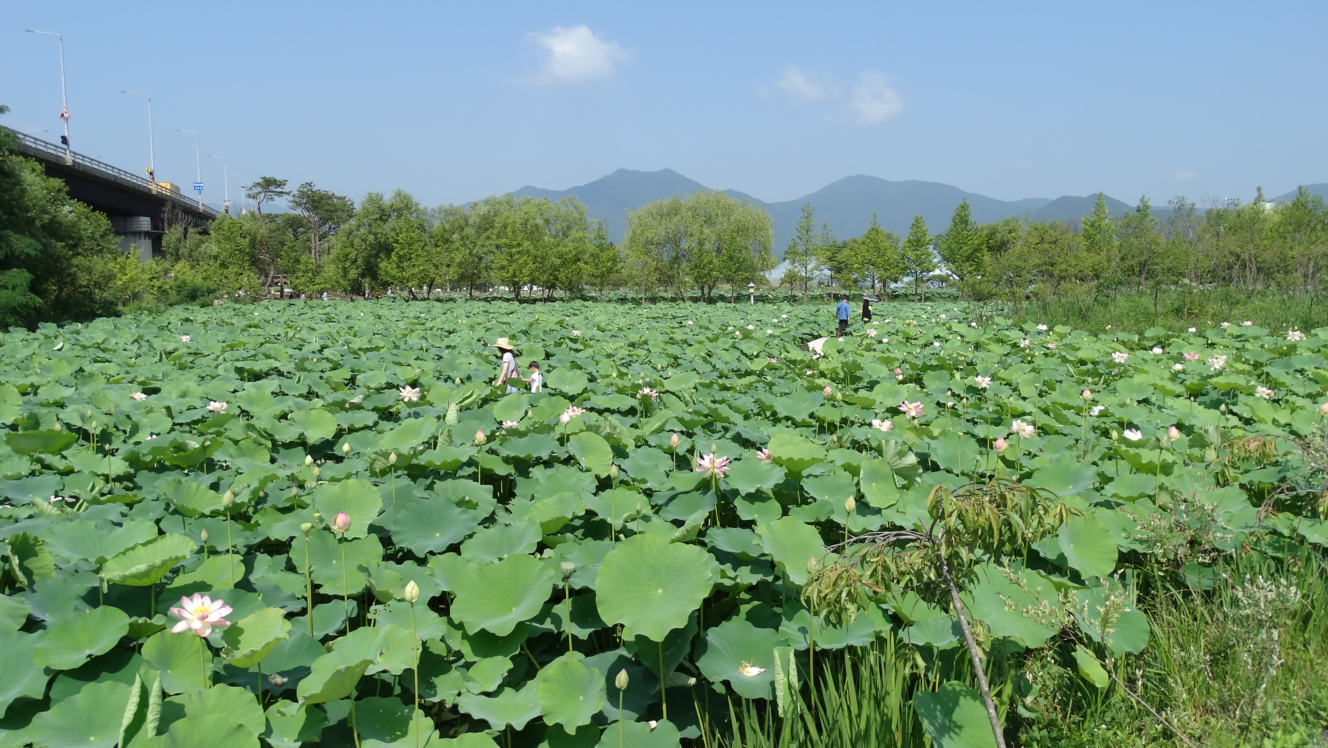 양평 가볼만한곳