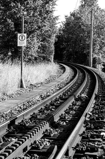 동대구역 신경주역 북울산역 태화강역 남창역 운행 무궁화호 누리로 열차 운행 시간표 운임 요금3
