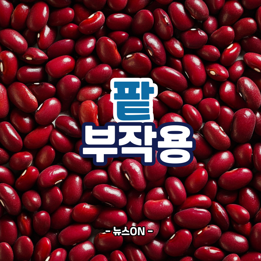 팥 부작용