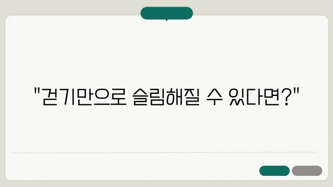 체중 감량을 위한 걷기 운동 꿀팁