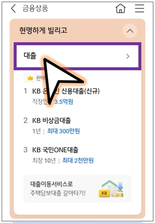 대출-선택