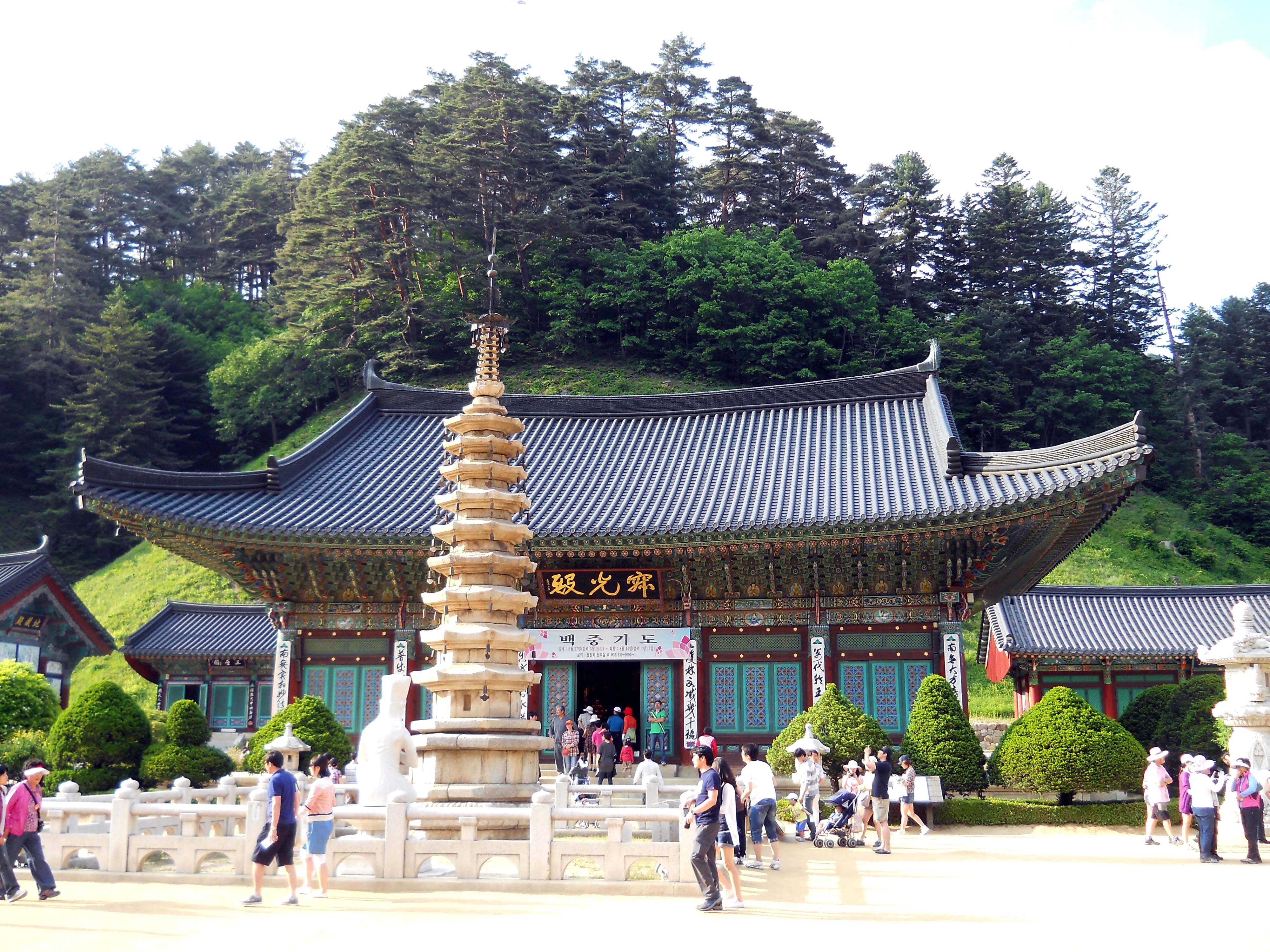 오대산 월정사 앞 전나무숲길