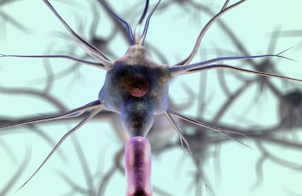 말초신경병 증상