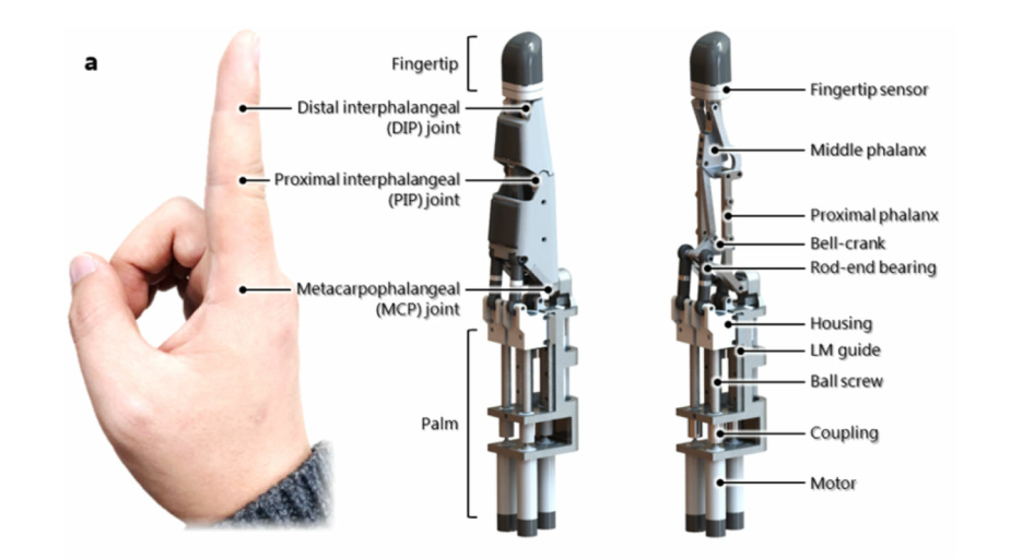 robot hand structure